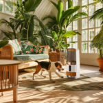 Biophilic Micro-Spaces: Natur im Innenraum integriert von Gesa Vertes